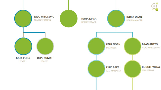 组织结构图334255
