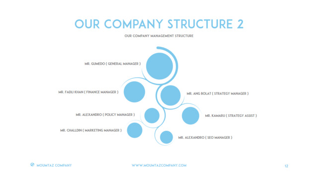 组织结构图334726