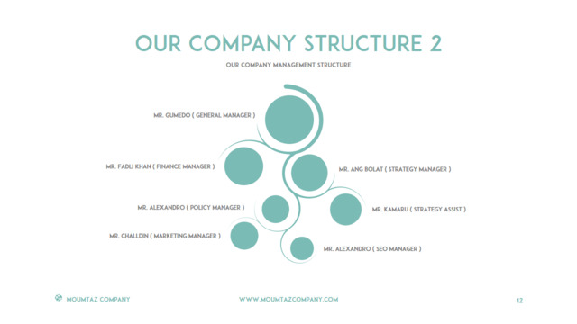 组织结构图334730
