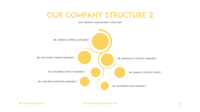组织结构图334734