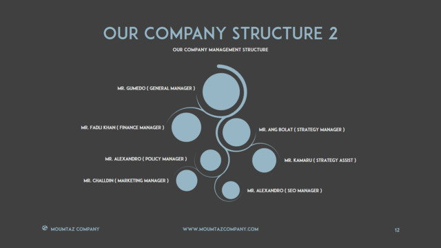 组织结构图334752