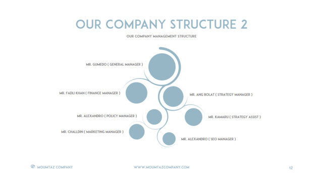 组织结构图334754