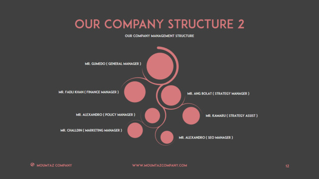 组织结构图334756