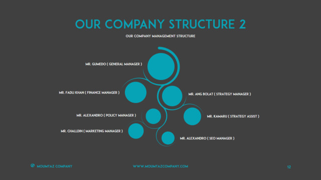 组织结构图334760