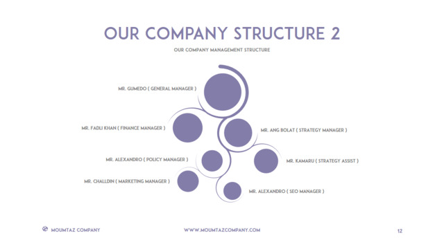 组织结构图334766