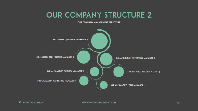 组织结构图334768