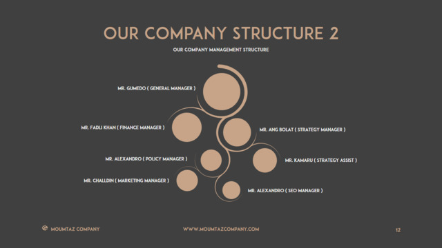 组织结构图334776