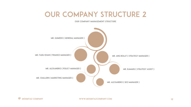 组织结构图334778