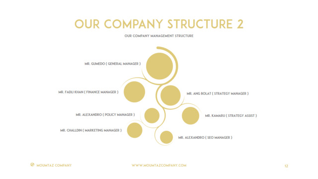 组织结构图334786