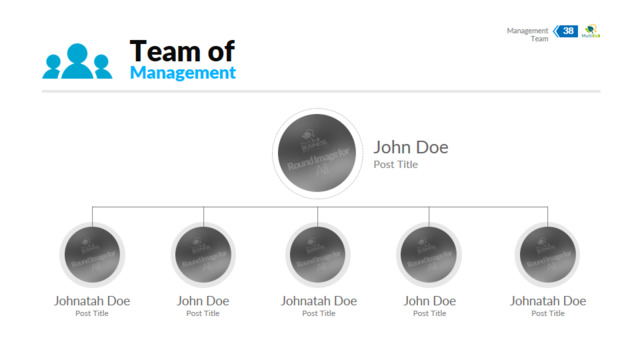 组织结构图334845