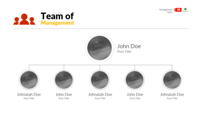 组织结构图334851