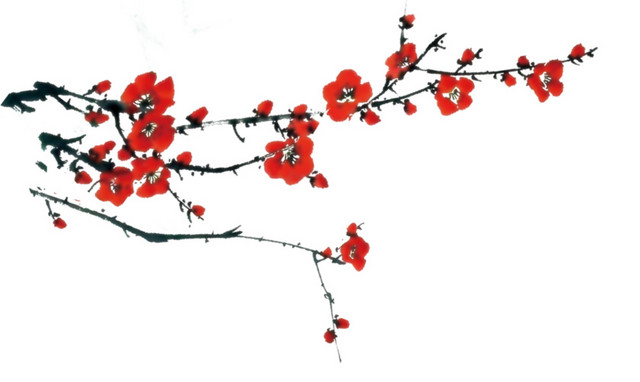 典雅中国风红色腊梅梅花背景素材
