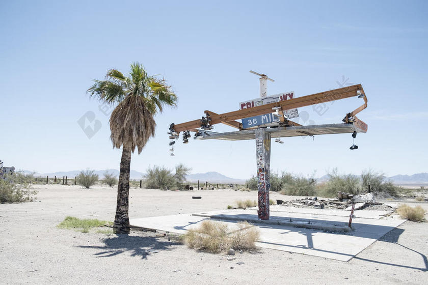 户外自然景观热带植物外观旅游背景图片