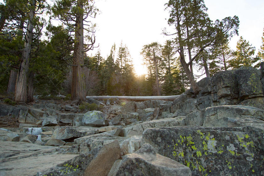 阳光唯美石桥背景图片
