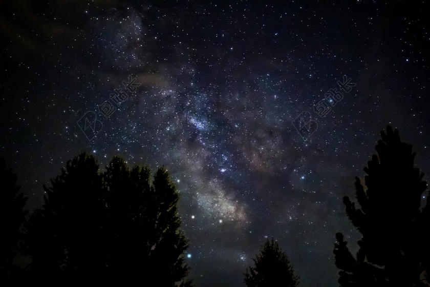 黑色自然景观植物星海旅游度假背景图片