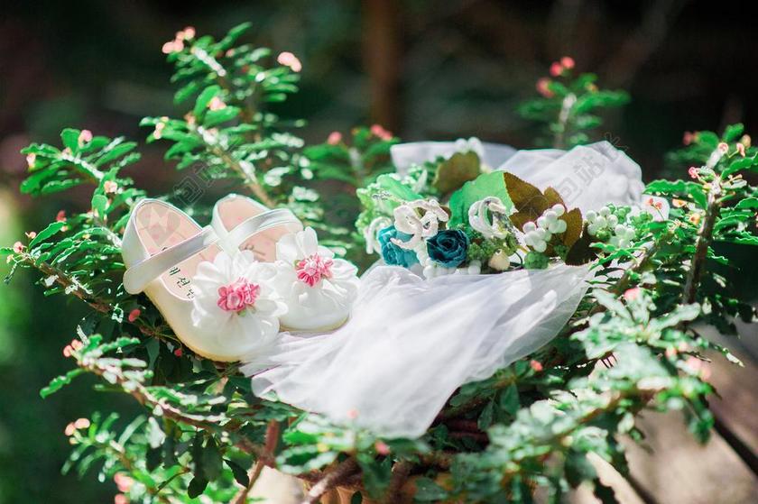 摄影唯美花束摆放背景图片