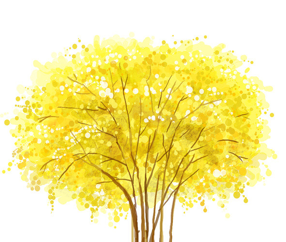 黄色落叶树
