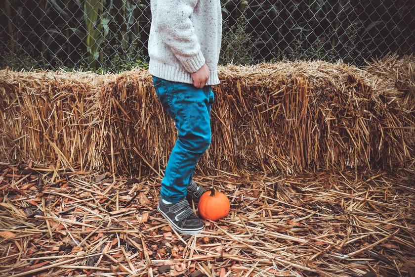旅游自然户外农场里背景图片