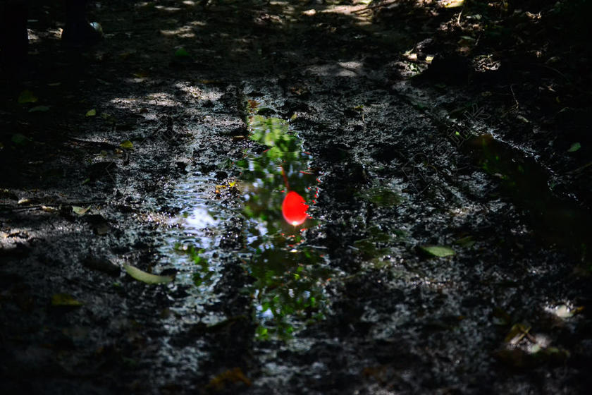 摄影唯美海上溅起的红色水滴背景图片