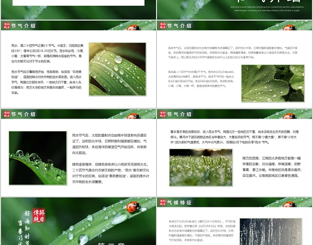 绿色系树叶元素雨水节气介绍PPT模板
