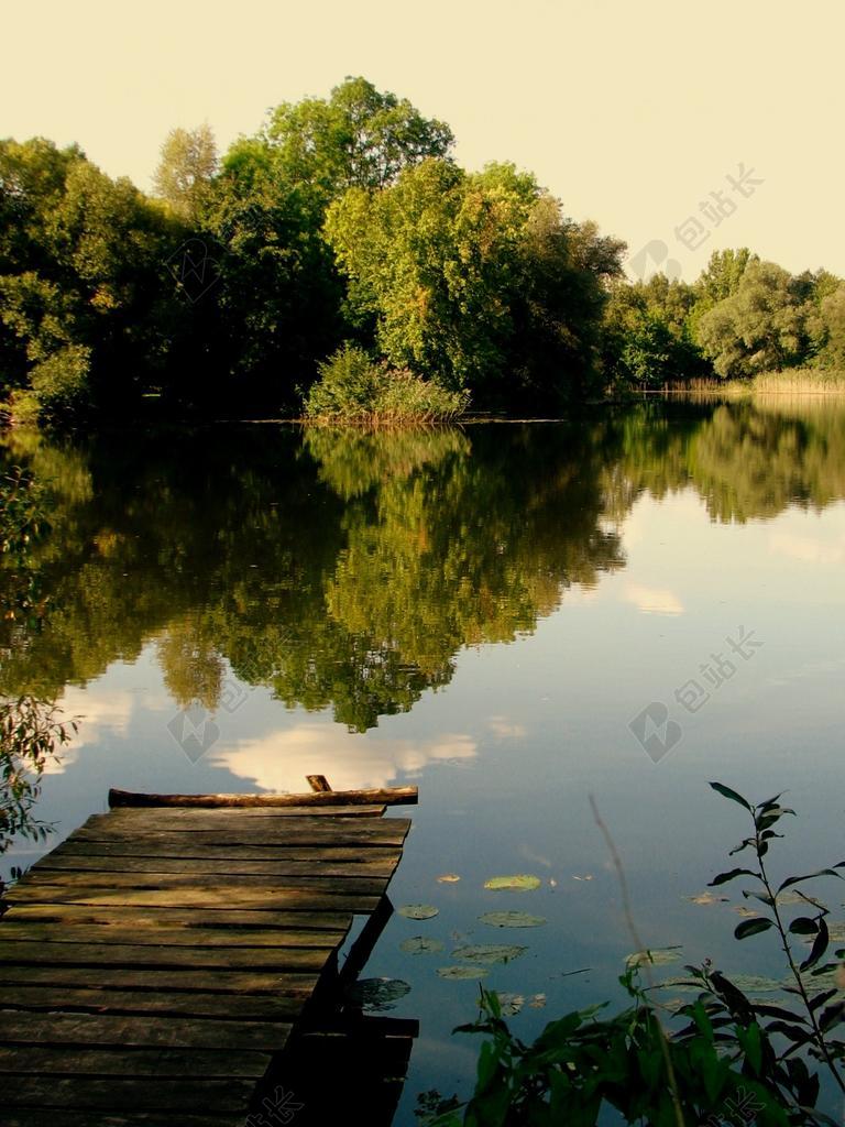 网站 池塘 湖 水 水域 码头 心情 木板路 鱼 休息