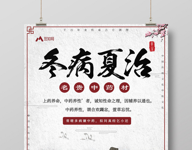 中国风冬病夏治中医养生医疗宣传海报
