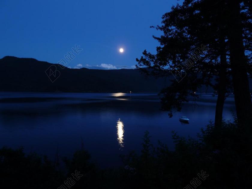 自然景观月光下的湖面和树林背景图片
