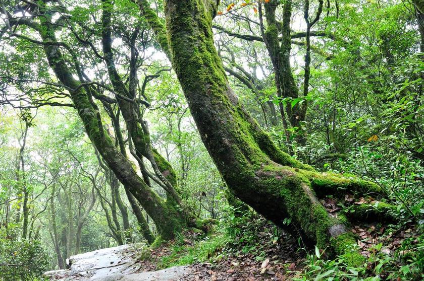 贵州 梵净山 中国