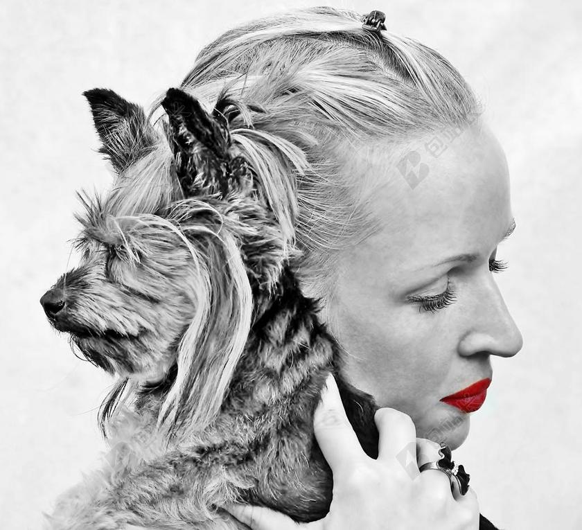 黑白人肖像抱狗的女人背景图片