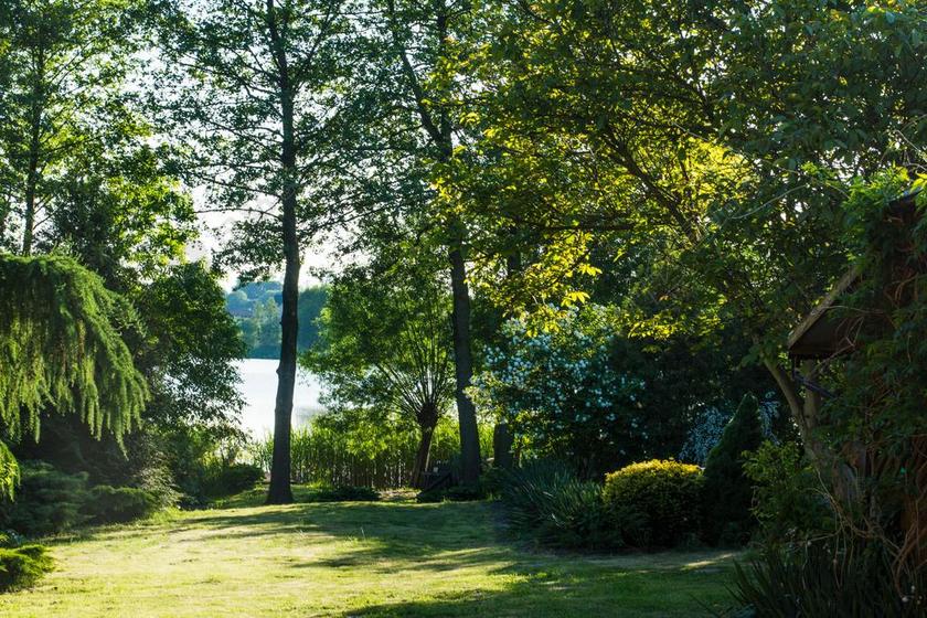 湖 视图 景观 水 性质 夏天 阳光灿烂的日子 波兰