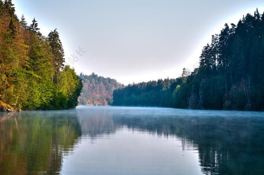 对比 河 景观 夏天 森林 性质 景观水 太阳 雾 反射