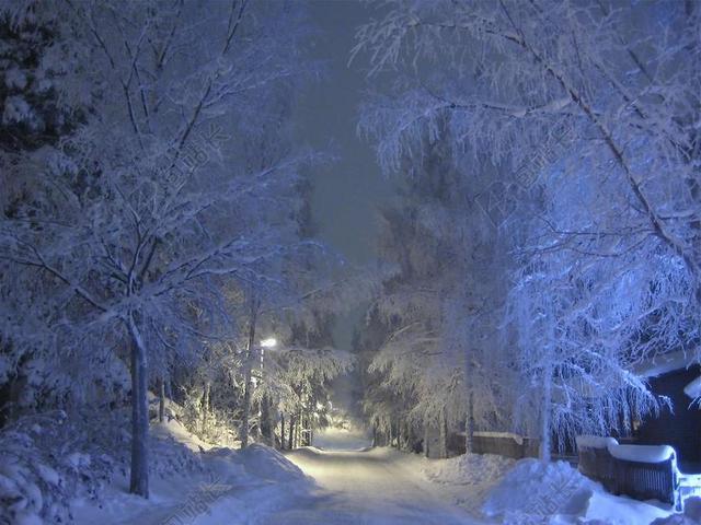 冬天 雪 霜 树 蓝色底纹 雪覆盖 冷 覆盖 路灯 芬兰
