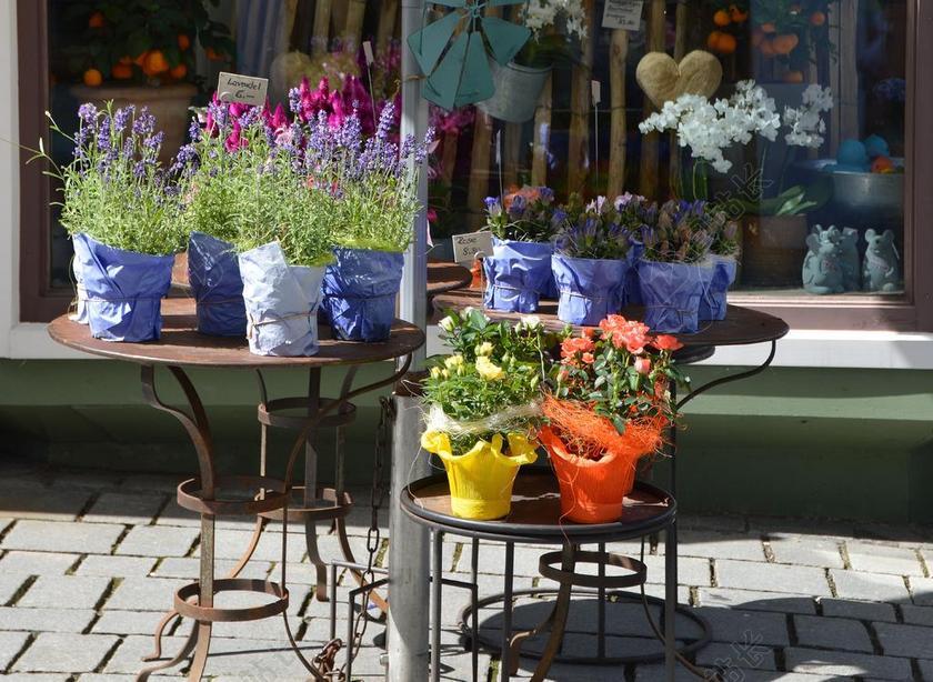 植物街头桌子上的鲜花盆栽背景图片