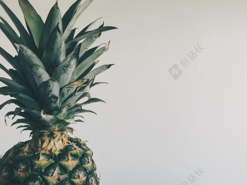 白色清新创意菠萝背景图片