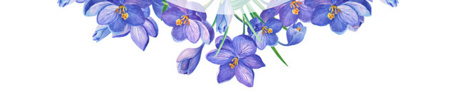 水彩手绘植物花环花边边框矢量素材