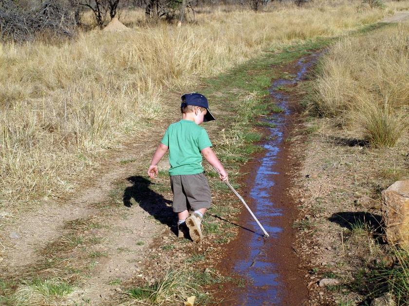 户外 男孩 儿童 STIK 方式 路径 播放 玩耍 徒步旅行