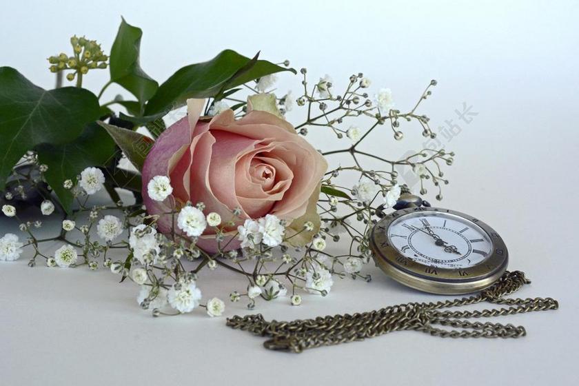 摄影简约怀旧表和玫瑰背景图片