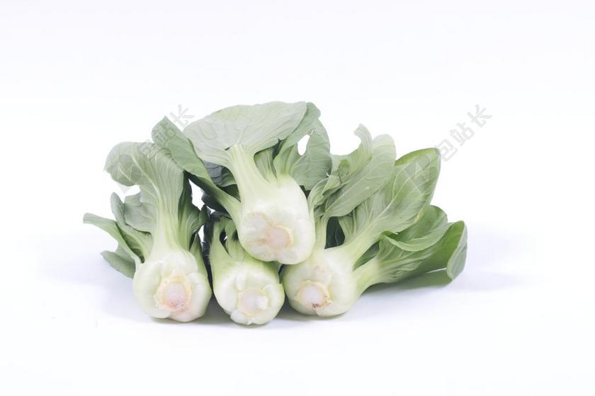 白菜 蔬菜 健康 白色背景
