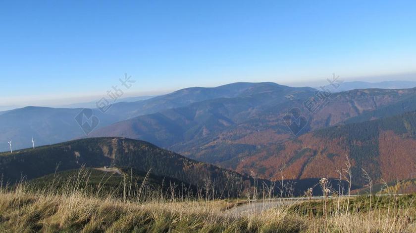 摄影自然阳光下的山林背景图片