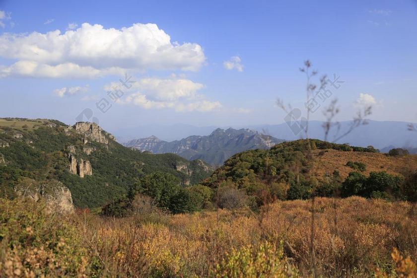 黄草梁 山坡 秋天 景色 天性 秋