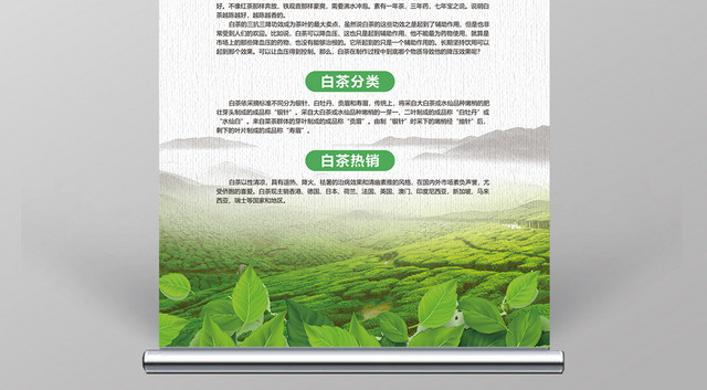 白色绿色清新福鼎白茶茶文化茶道茶艺展架易拉宝