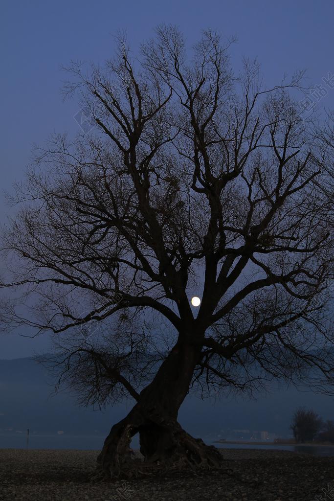 摄影清新夜景背景图片