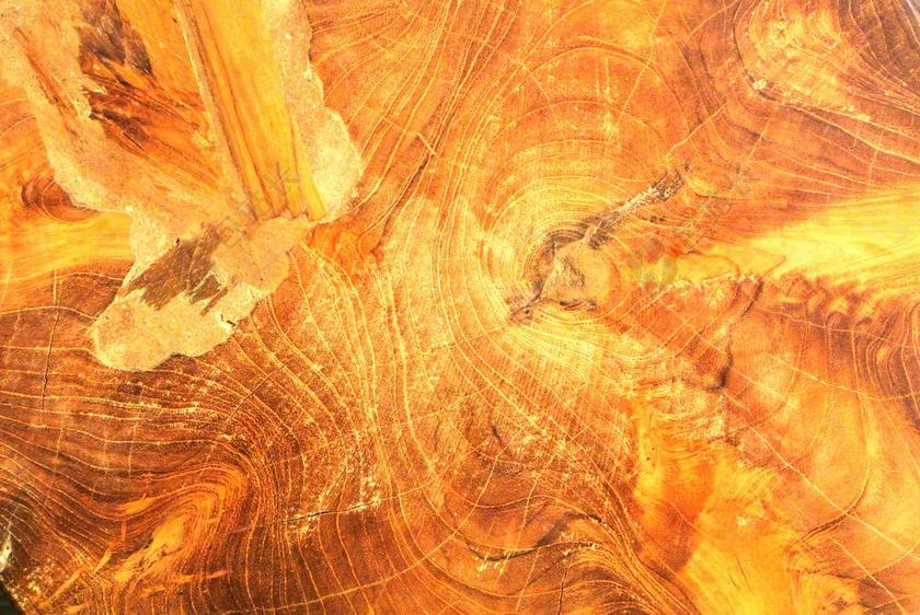 木材结构纹理背景图片