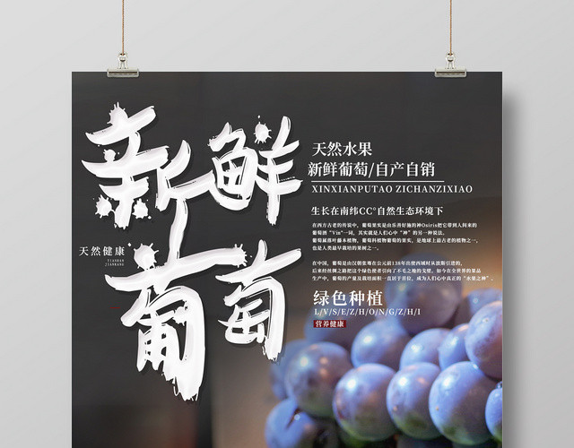 黑色新鲜葡萄水果葡萄宣传海报