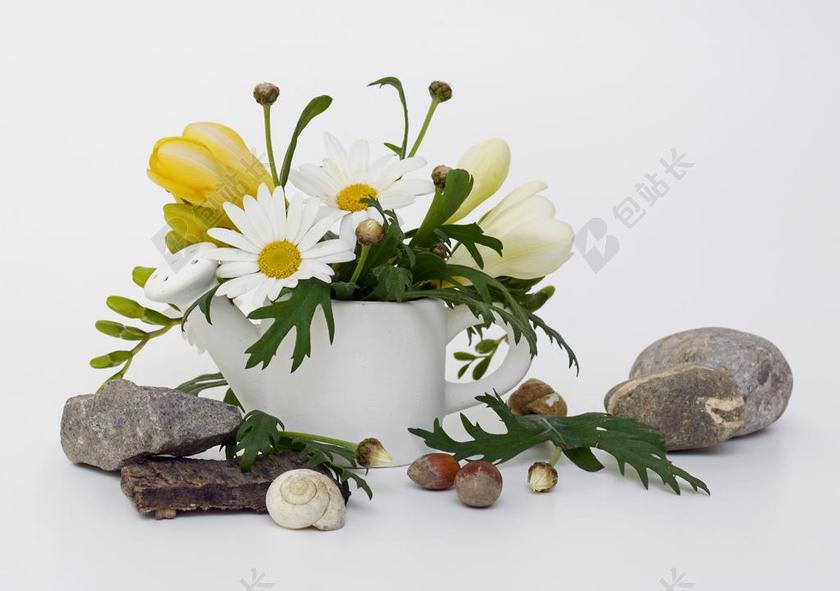 摄影简约花盆盆栽背景图片