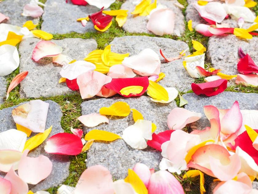 广告清新玫瑰花瓣铺满一地背景图片