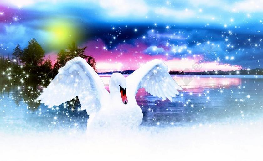 广告时尚天鹅特效背景图片