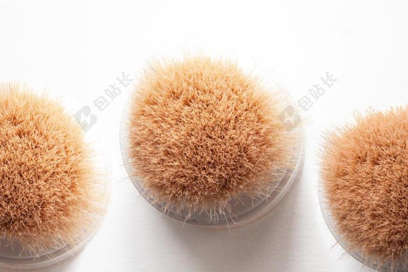 广告时尚长刺的植物背景图片