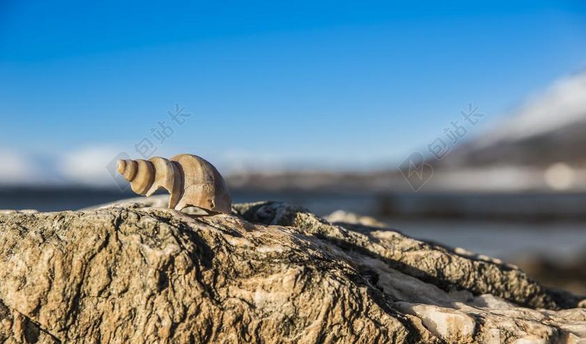 蓝色的天空 水的边缘 贝壳 田园 我们的心情 海 海洋 北