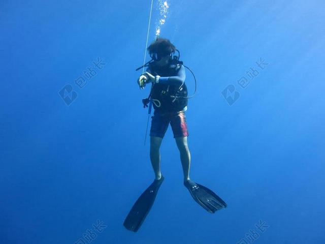 潜水员 水肺 蓝色 安全停止 海 海洋 水下 水 跳水